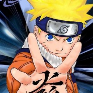 Poster Naruto Naruto Ninja